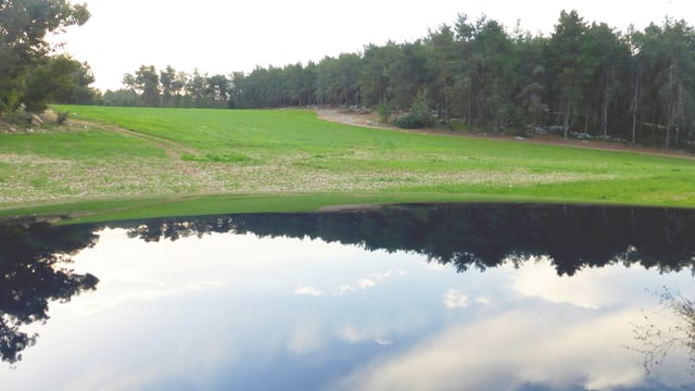 Is Happiness Realistic? (Audio)