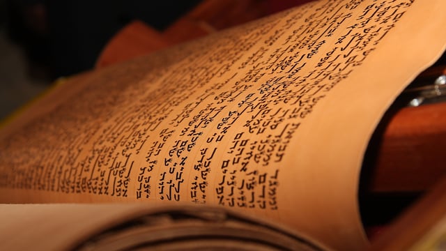 VaYelekh – The Torah Will Never Be Forgotten (Audio)