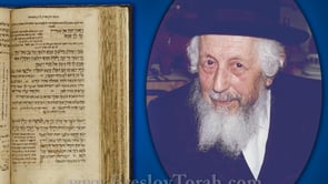 Wisdom 15 – Animal Simplicity (Video)