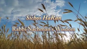 Wisdom 16 – The Silent Scream (Video)