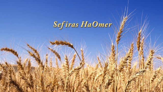 Count the Omer – Free Your Heart (Audio/Slides)