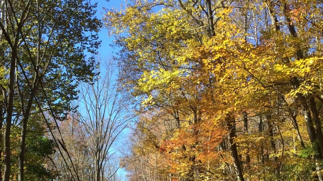 Seasons on a Rocky Road – 5-Minute Guided Hisbodedus