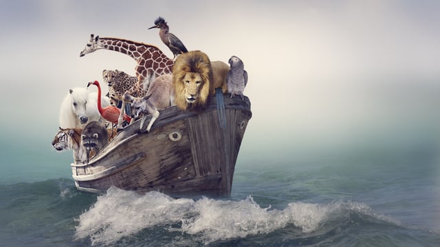 Parsha 02 – Noah’s Ark – Blueprint for Survival