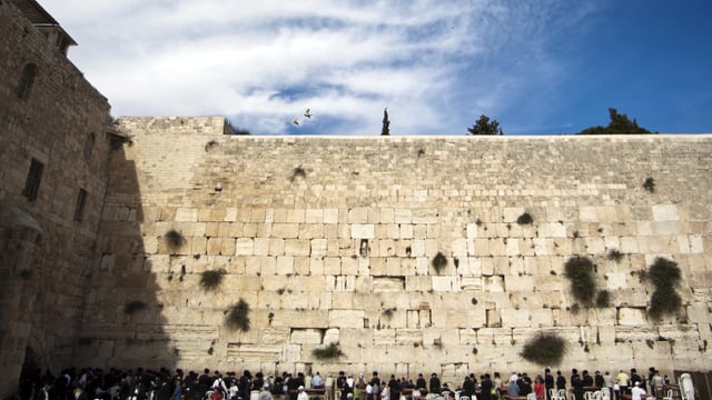 Parsha 06 – Toldos – The First Jewish Child (Audio Clip, 6:30)