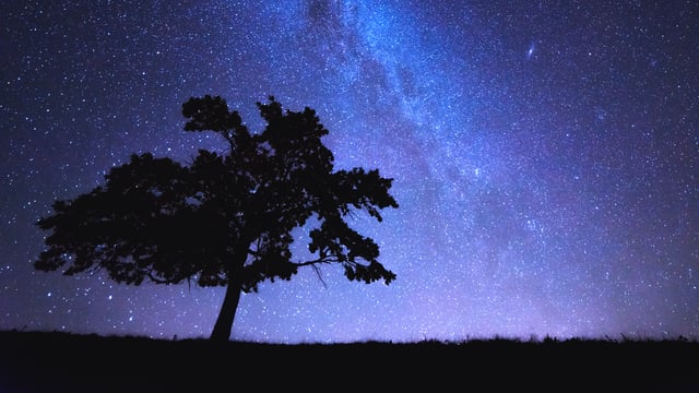 Parsha 33 – BeChukosai – Secrets of Chatzos (Midnight Prayer)