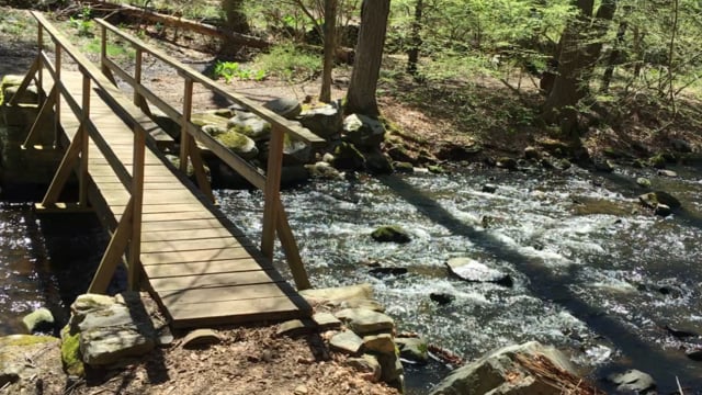 Honesty Leads to Faith