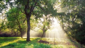 Happiness and Money – How Does That Work?