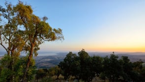 Joyful Judaism – Part 3 (Entire Shiur) OU Israel Center, 2019-09-11