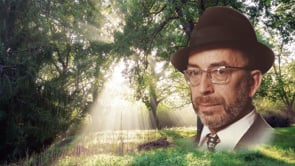 To Hear Blades of Grass Sing – Rabbi Zvi Aryeh Rosenfeld z”l on Sichos HaRan 163