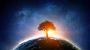 Emunah (Faith) During Corona – Part 2 – Yosef and His Brothers