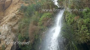 25th of the Omer – Netzach sh’b’Netzach – A Special Day in Breslov Tradition