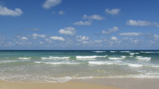 Kedoshim – Mysteries of Mikveh and Sefiras HaOmer