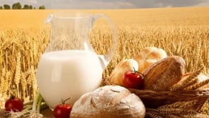 Shavuos – Day of Kindness and Healing