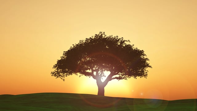 The Mystical Tree of Rebbe Nachman’s Fifth Beggar