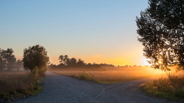 What is True Wisdom? – Breslov Basics 21