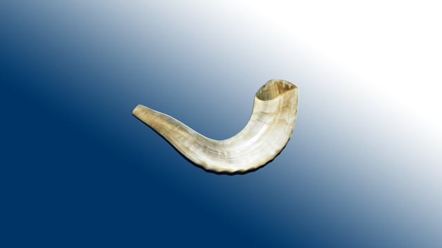 Elul – Shoftim – Finding Your Place