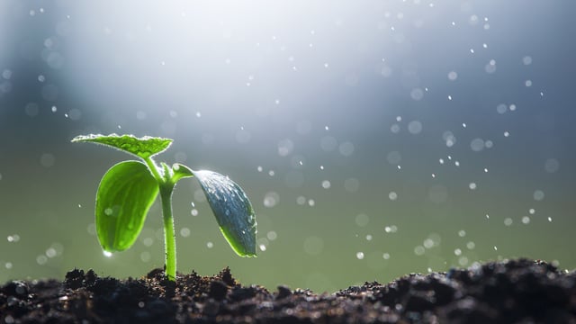 The Power of Beginnings – Breslov Basics 11